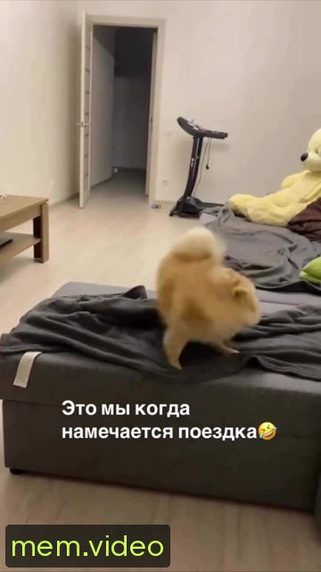 Кадр на 0:02