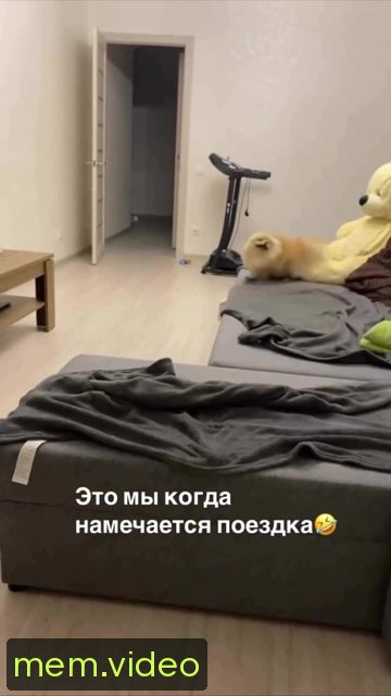 Кадр на 0:03