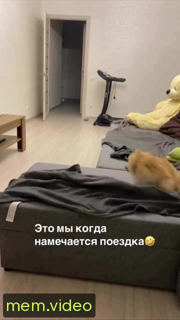 Кадр на 0:04