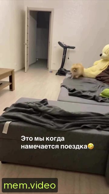 Кадр на 0:06