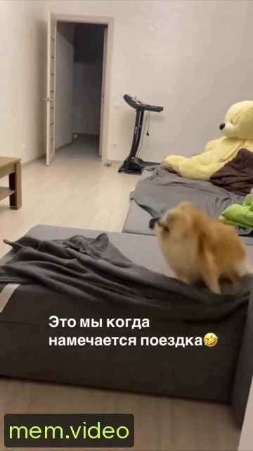 Кадр на 0:07