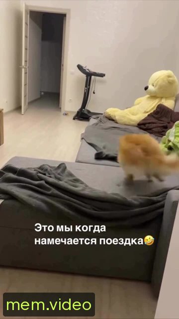 Кадр на 0:08