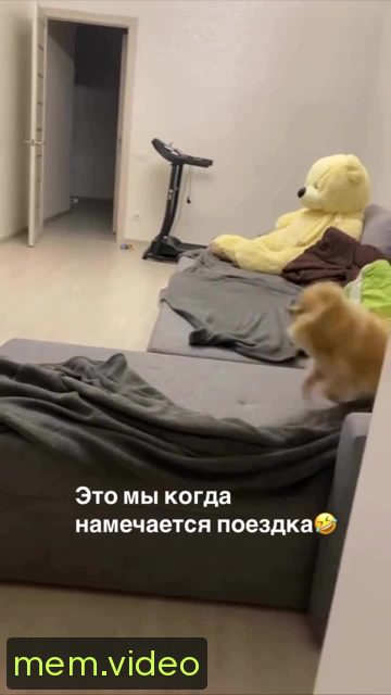 Кадр на 0:08