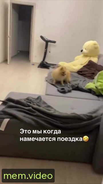 Кадр на 0:10