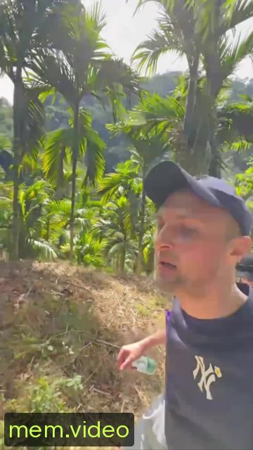 Кадр на 0:00