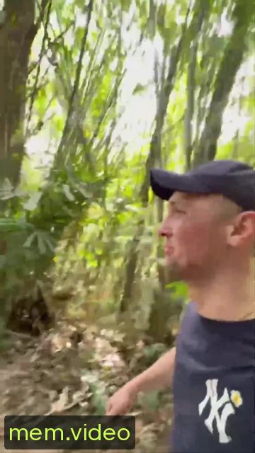 Кадр на 0:05