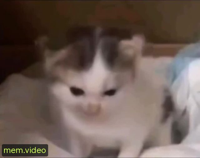 Кадр на 0:04