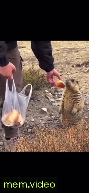 Кадр на 0:03