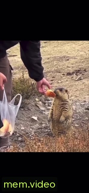 Кадр на 0:04