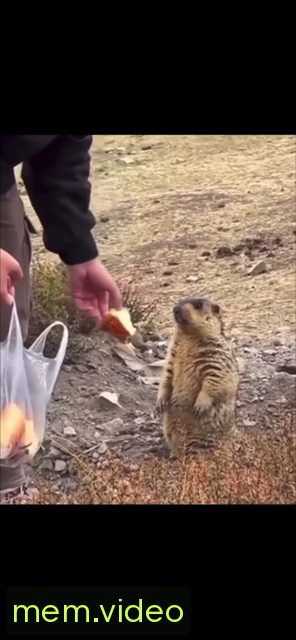 Кадр на 0:06