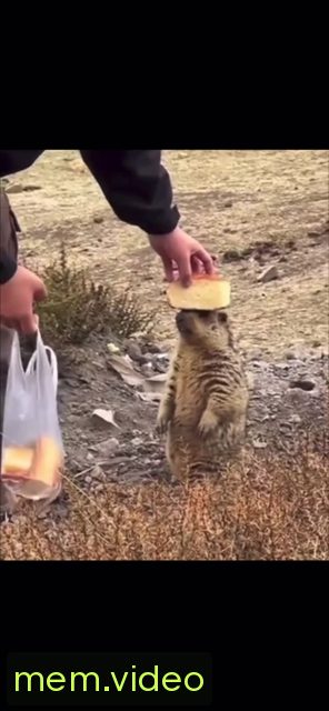 Кадр на 0:18