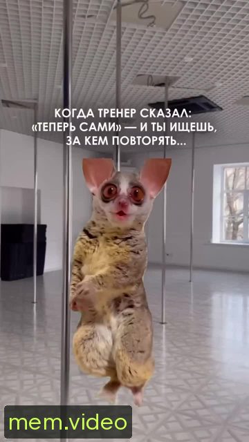 Кадр на 0:00