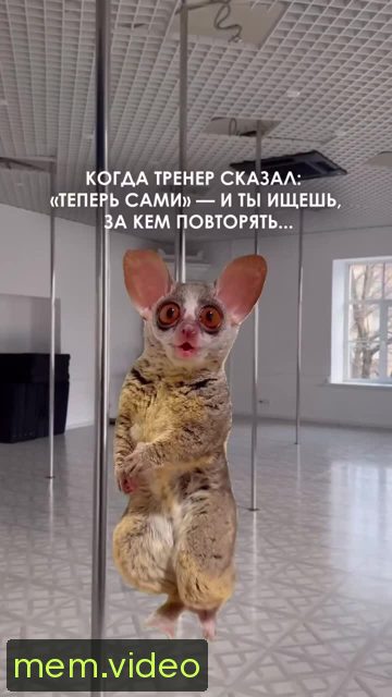 Кадр на 0:00