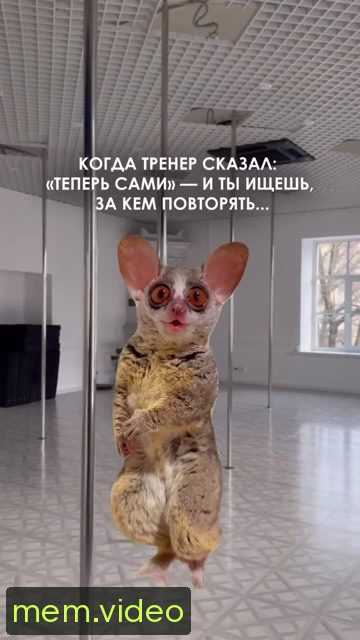 Кадр на 0:01