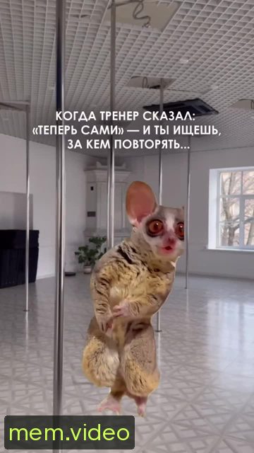Кадр на 0:01