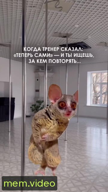 Кадр на 0:02