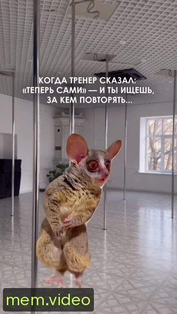 Кадр на 0:02