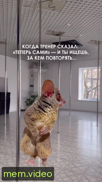 Кадр на 0:03