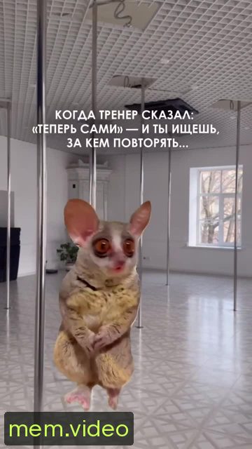 Кадр на 0:03