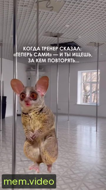 Кадр на 0:04