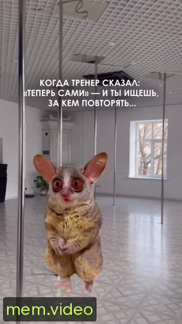 Кадр на 0:04