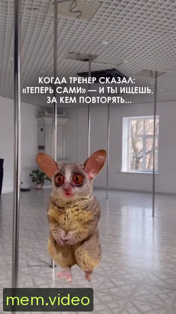 Кадр на 0:05