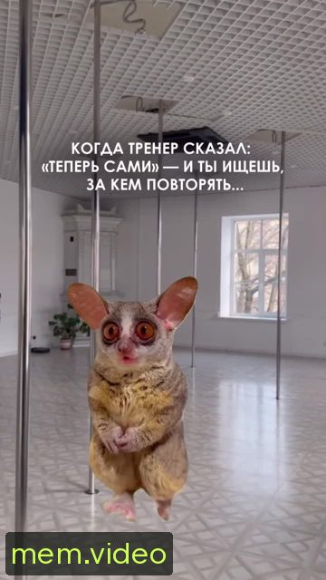 Кадр на 0:05