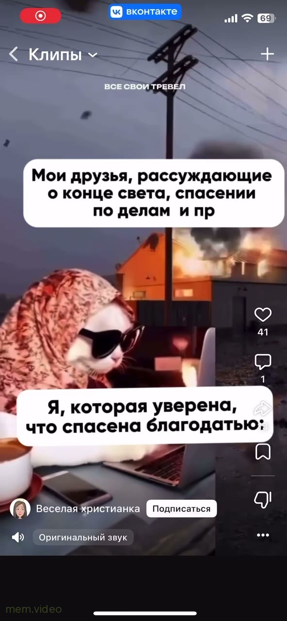 Кадр: Кошка в очках и платке за компьютером — «Я, которая уверена»