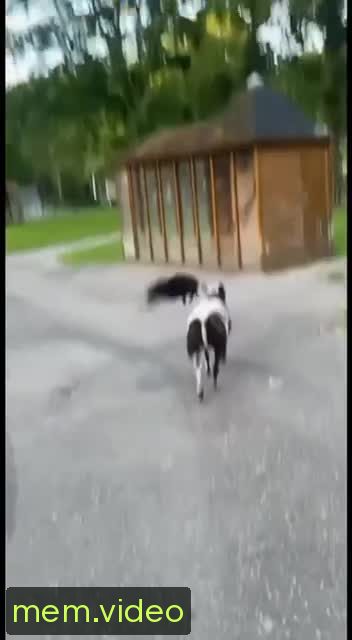 Кадр на 0:00