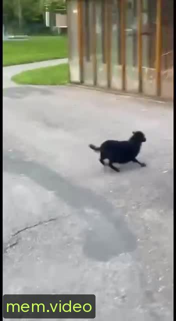 Кадр на 0:01