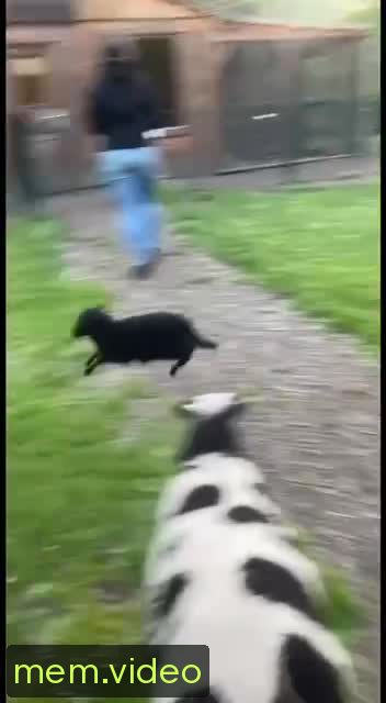 Кадр на 0:04