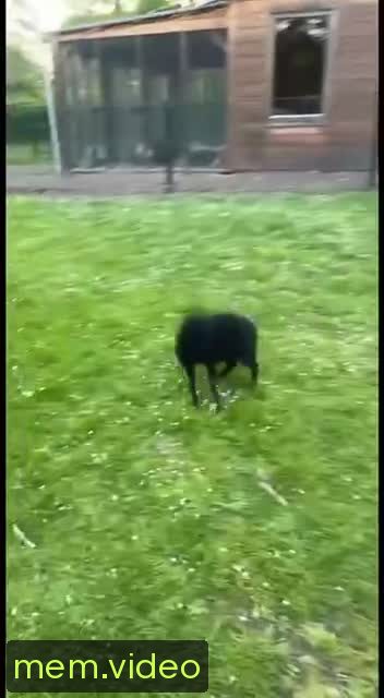 Кадр на 0:05