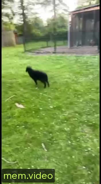 Кадр на 0:05