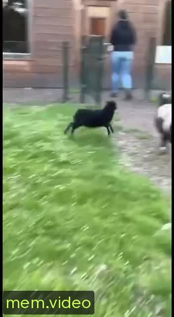 Кадр на 0:07