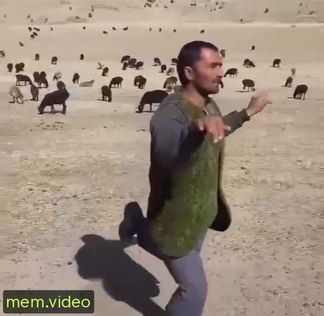 Кадр на 0:01