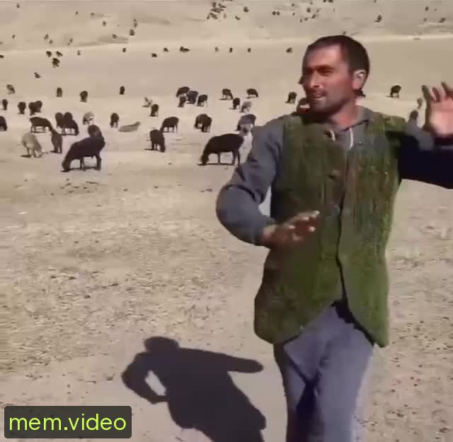 Кадр на 0:03