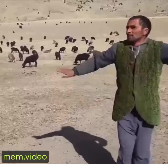 Кадр на 0:03