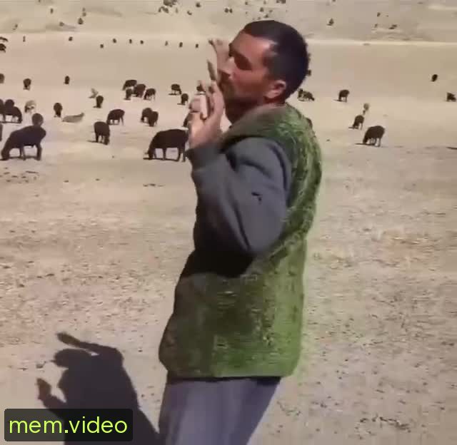 Кадр на 0:05