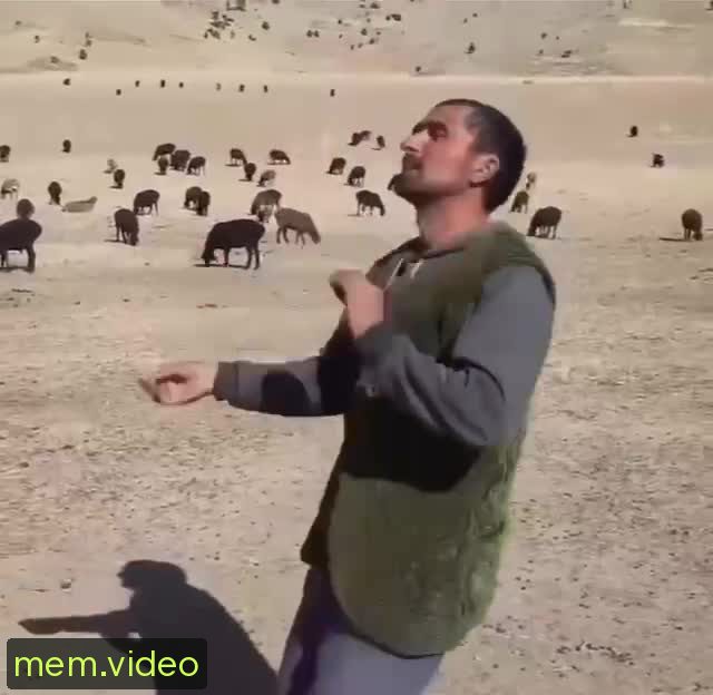 Кадр на 0:07