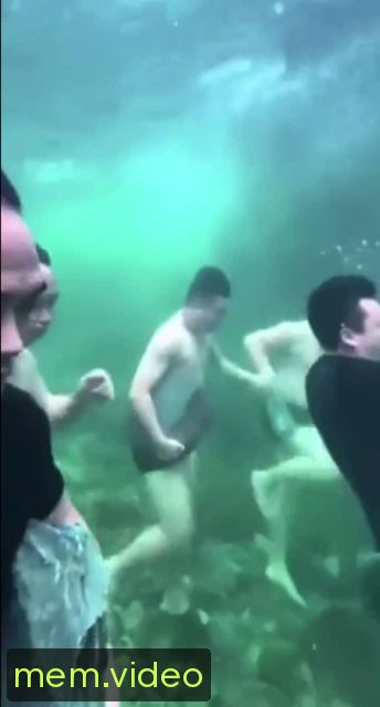 Кадр на 0:00