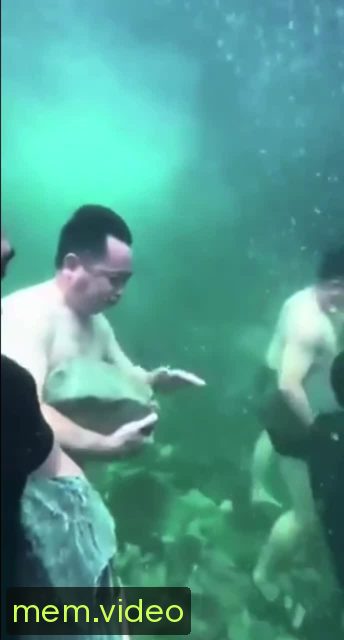 Кадр на 0:02