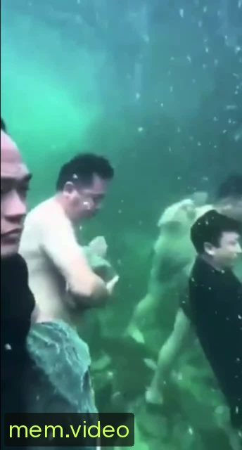 Кадр на 0:03