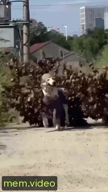Кадр на 0:05