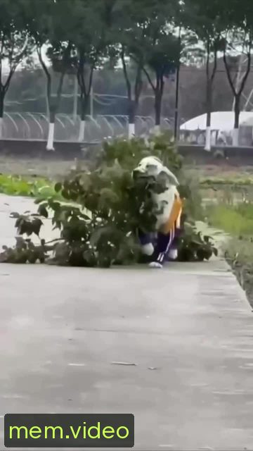 Кадр на 0:09