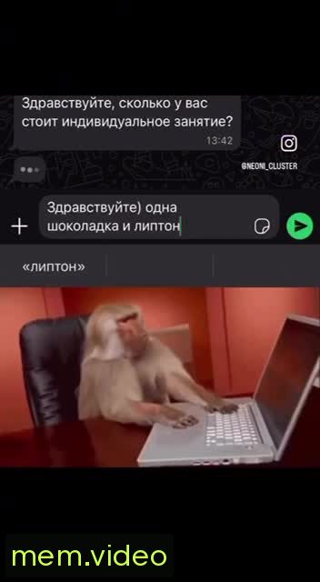 Кадр на 0:04