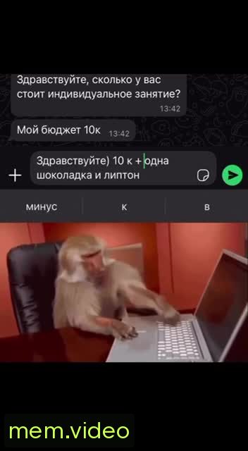 Кадр на 0:08