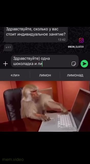 Кадр: Обезьяна печатает за ноутбуком — переписка в мессенджере