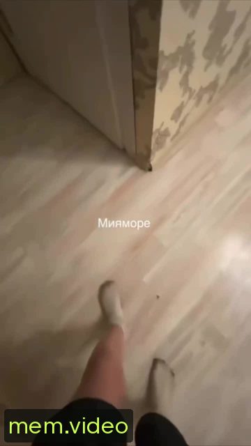 Кадр на 0:00