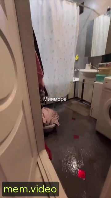 Кадр на 0:08