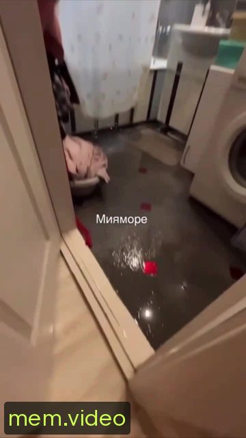 Кадр на 0:08